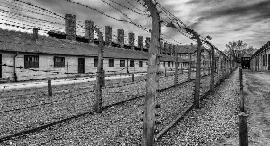 Procurando antepassados que passaram por Auschwitz – Birkenau