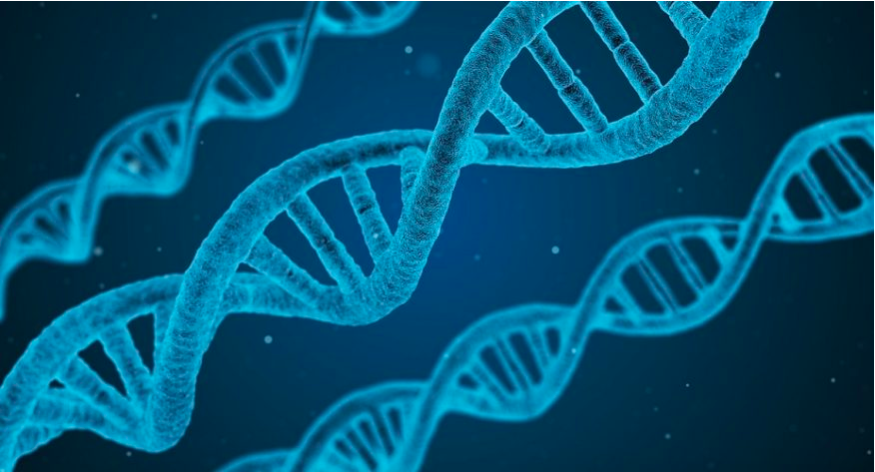 Tutorial de DNA: uma nova série de artigos no blog