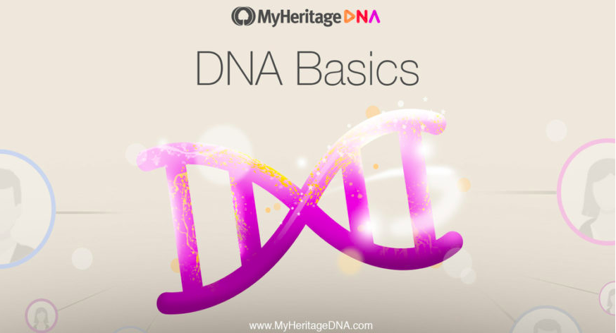 Tutorial de DNA, parte 3 – a expressão do DNA