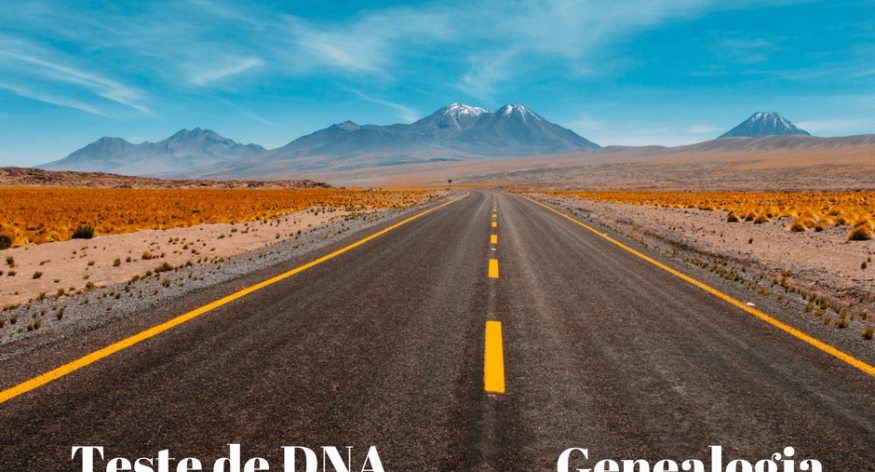 Genealogia tradicional e testes de DNA – uma via de mão dupla