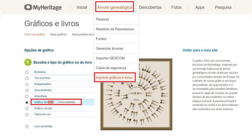 Novo: Gráfico solar